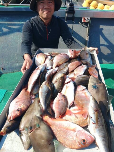 マダイ・イサキ・ウマヅラハギ