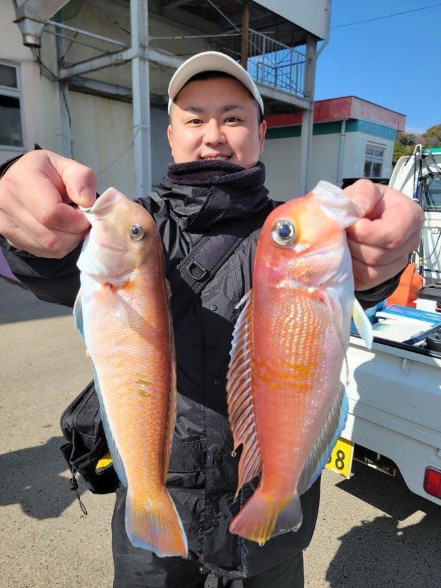 アマダイ(アカアマダイ)・シロアマダイ