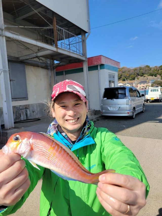 アマダイ(アカアマダイ)