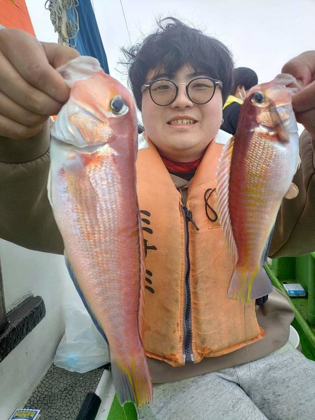 アマダイ(アカアマダイ)