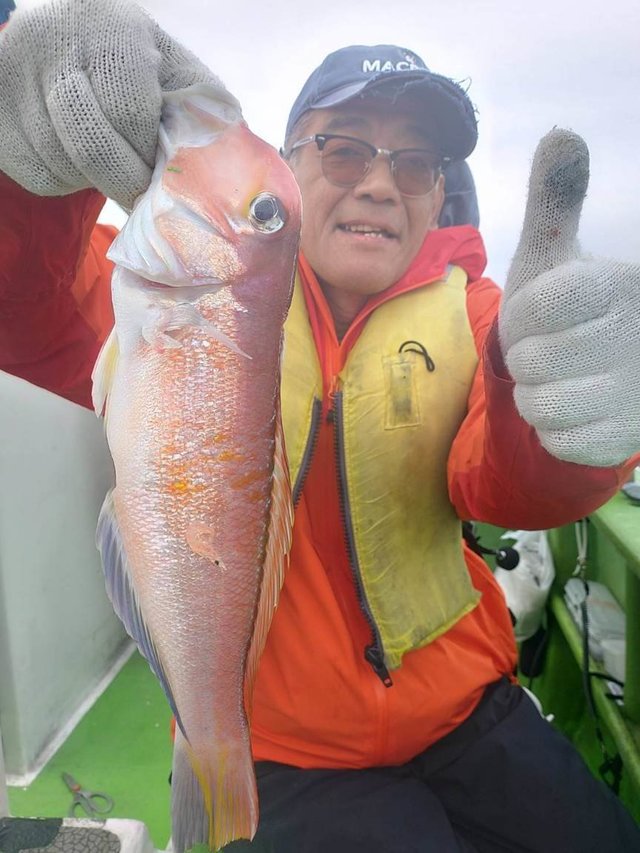 アマダイ(アカアマダイ)