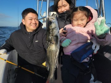 シーバス(スズキ)