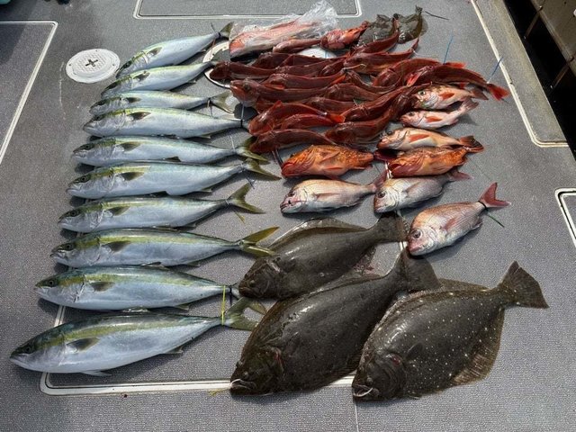 マダイ・ハマチ(ブリ)・アマダイ(アカアマダイ)・カサゴ・ホウボウ・ヒラメ