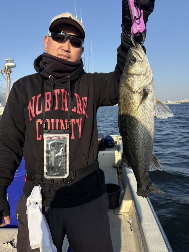 シーバス(スズキ)