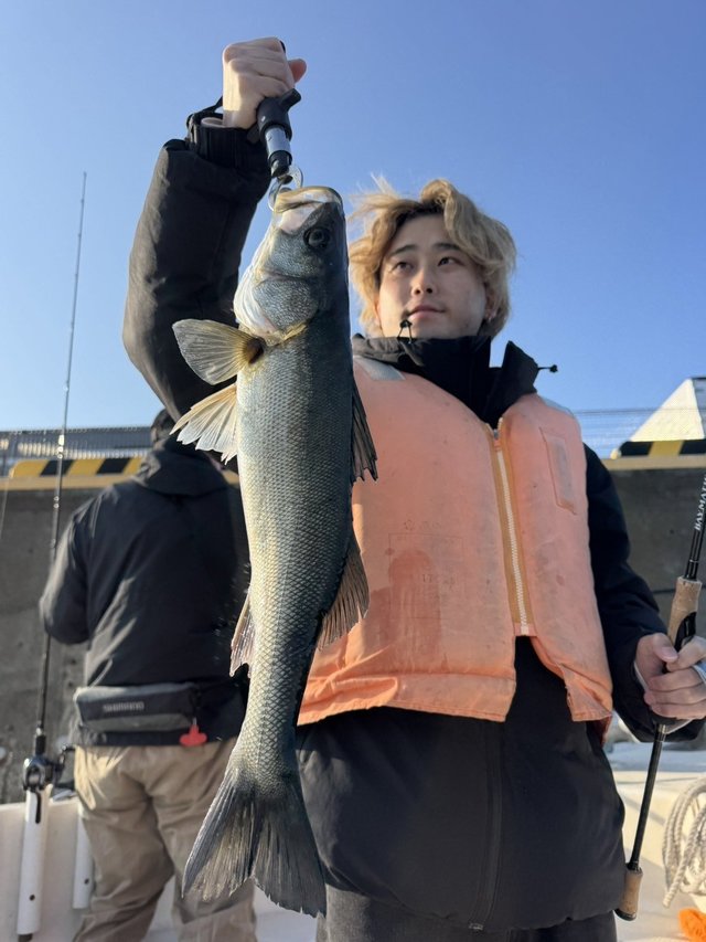 シーバス(スズキ)