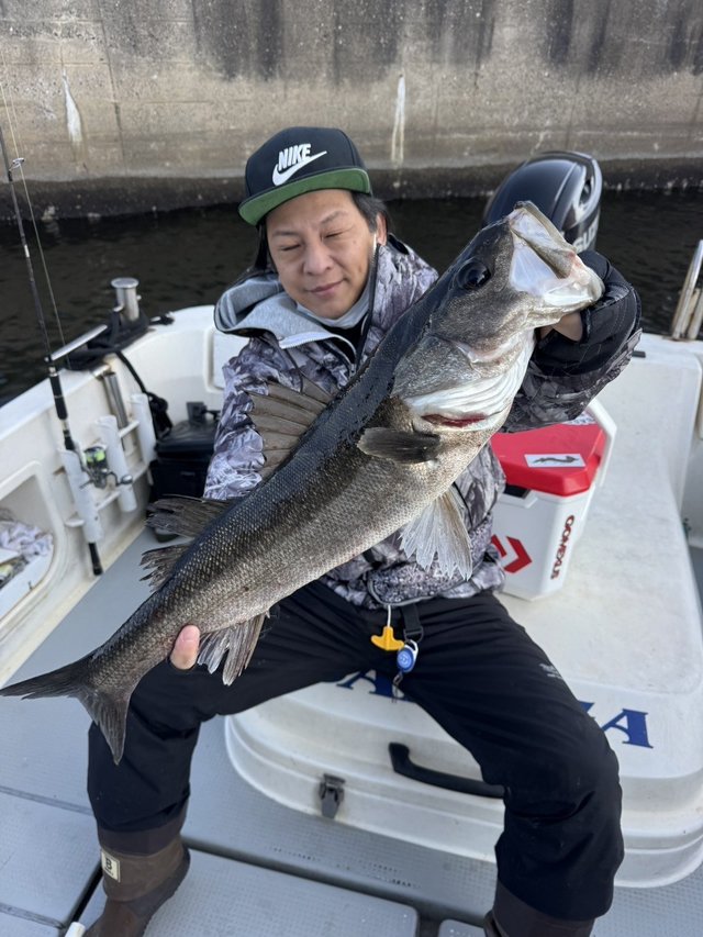 シーバス(スズキ)