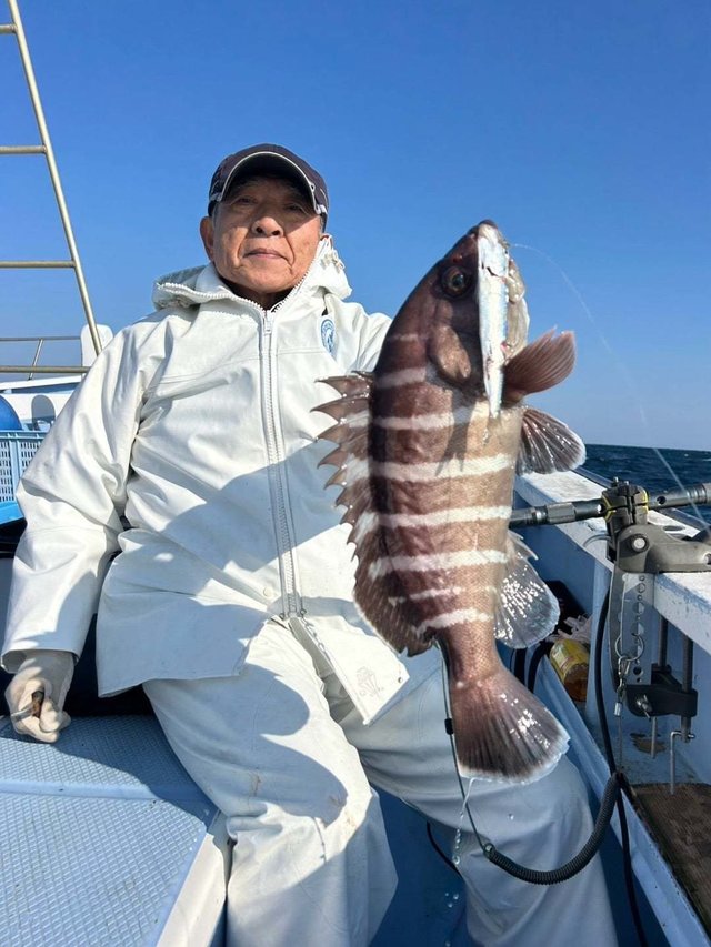 マハタ