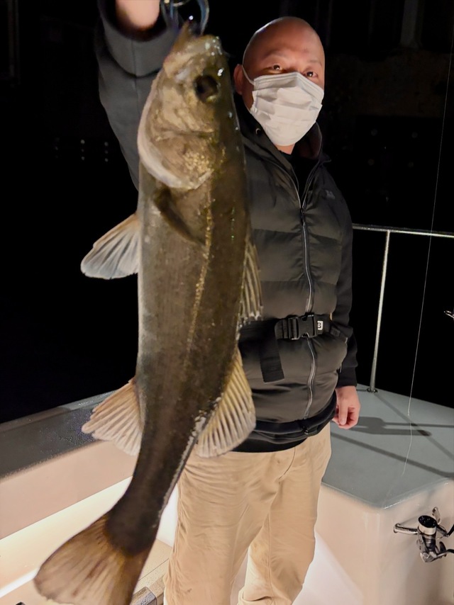 シーバス(スズキ)