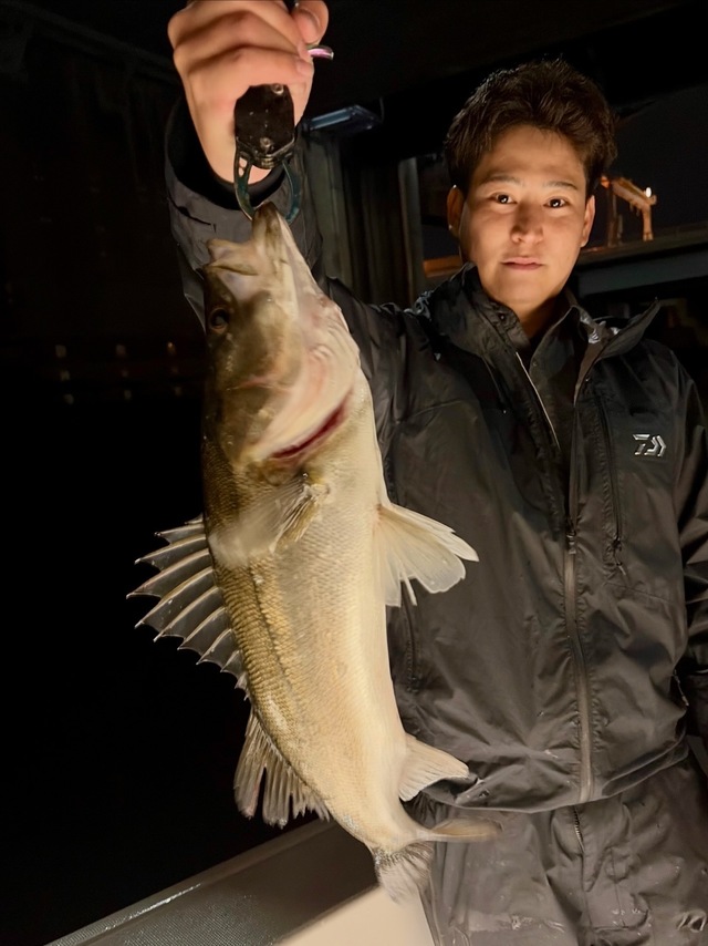 シーバス(スズキ)