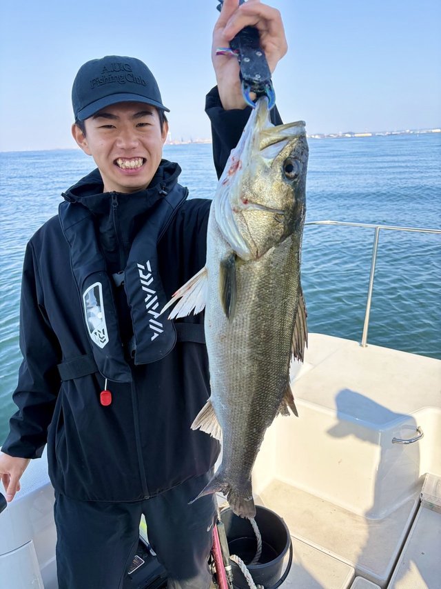 シーバス(スズキ)