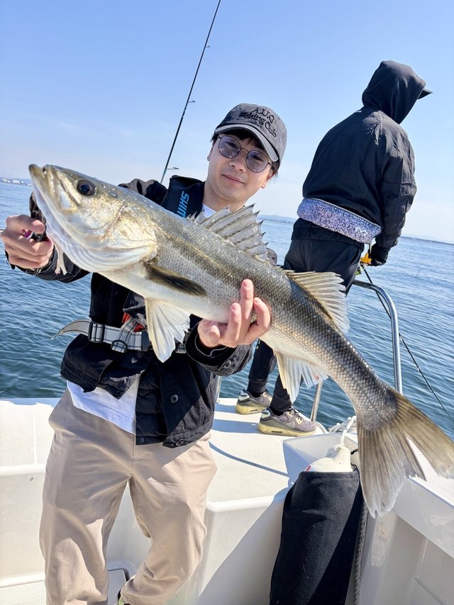 シーバス(スズキ)