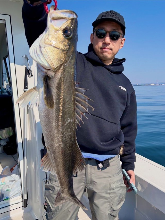 シーバス(スズキ)