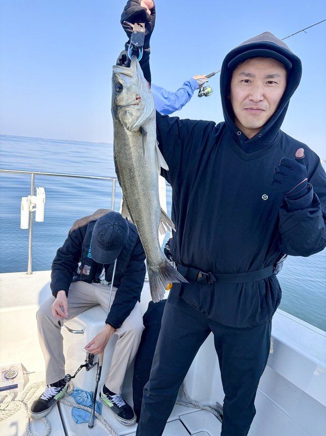 シーバス(スズキ)