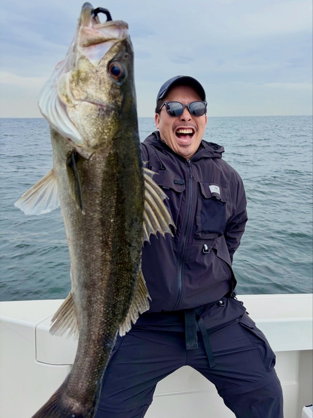 シーバス(スズキ)