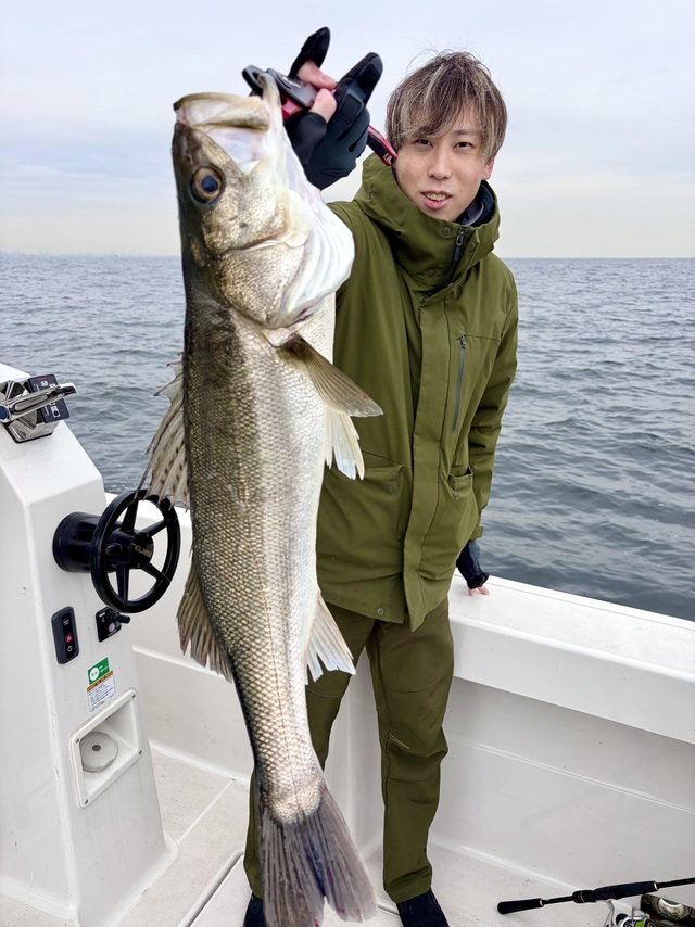 シーバス(スズキ)