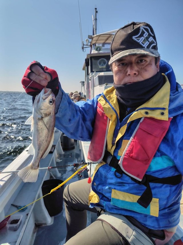 イシモチ(シログチ)