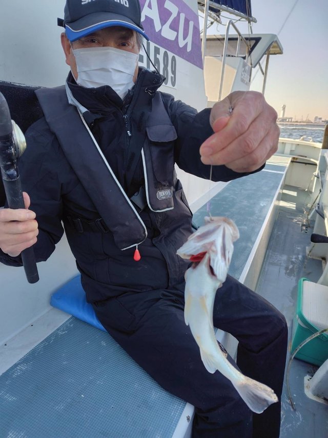 イシモチ(シログチ)