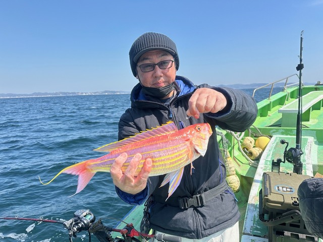 イトヨリ(イトヨリダイ)