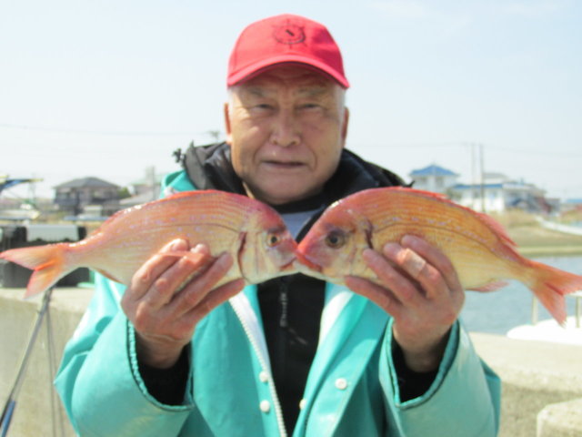 ハナダイ(チダイ)