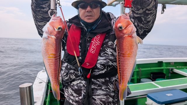 アマダイ(アカアマダイ)