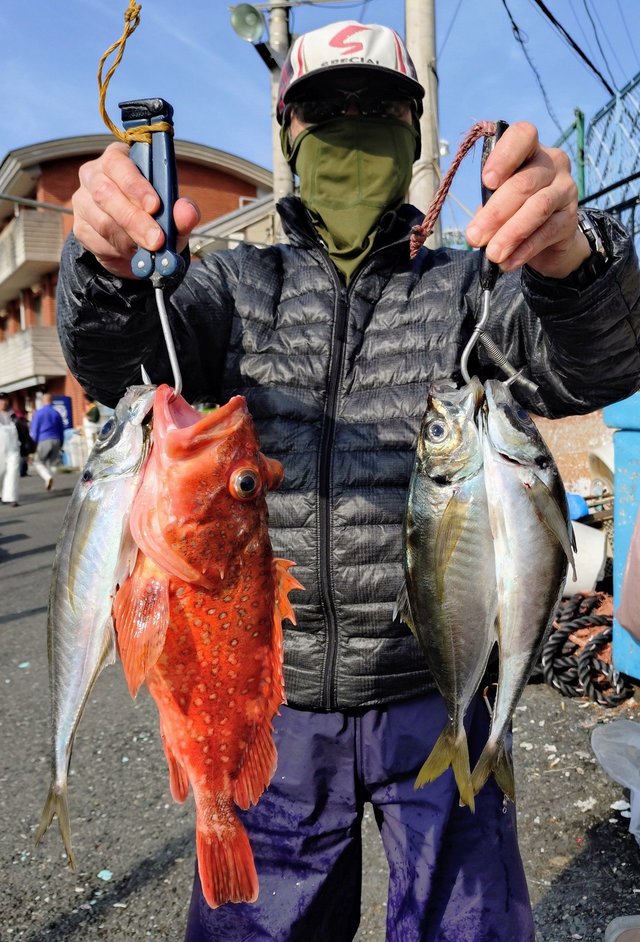 アジ(マアジ)・カンコ(ウッカリカサゴ)