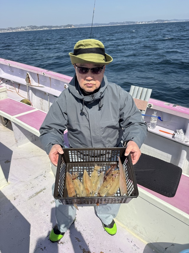 マルイカ(ケンサキイカ)