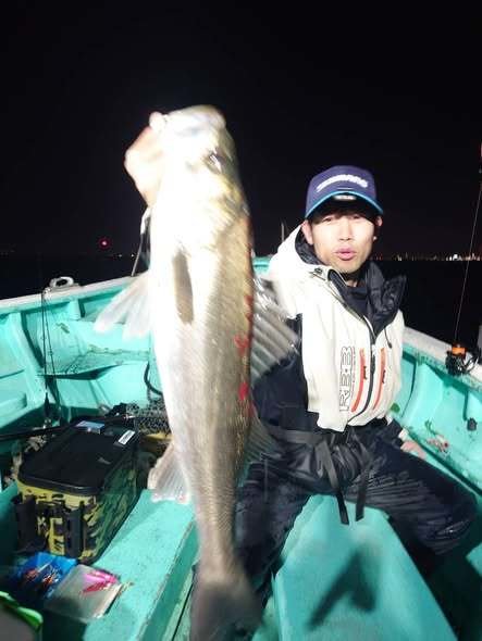 シーバス(スズキ)