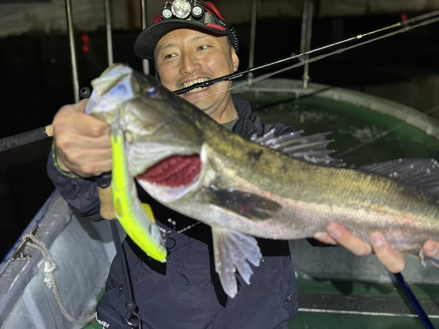 シーバス(スズキ)