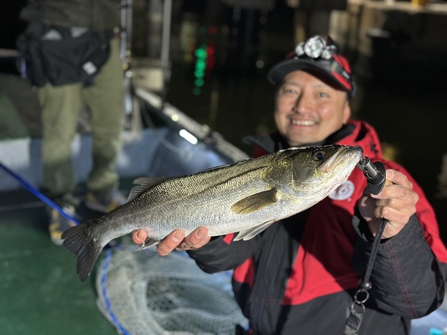 シーバス(スズキ)