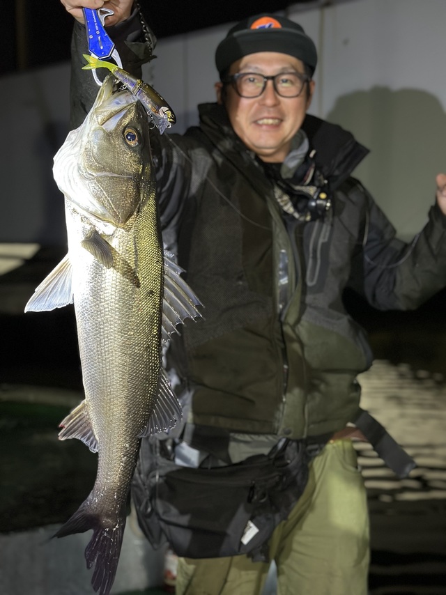 シーバス(スズキ)