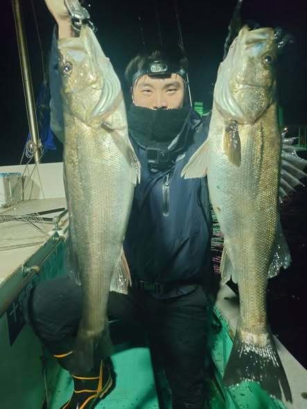 シーバス(スズキ)