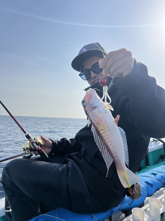 アマダイ(アカアマダイ)