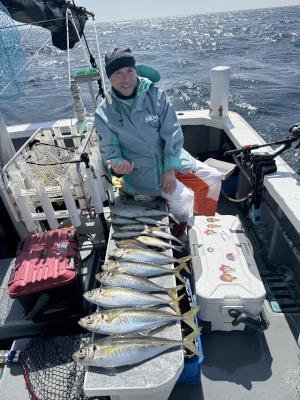 マアジ・メジロ(ブリ)・イサキ