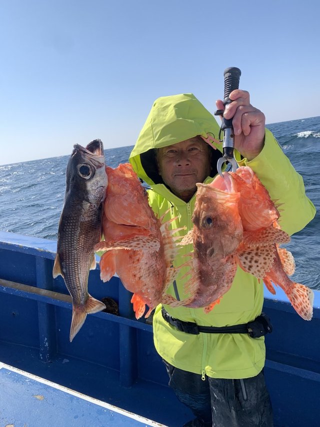 クロムツ・オニカサゴ・カンコ(ウッカリカサゴ)