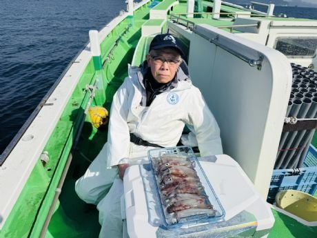 マルイカ(ケンサキイカ)