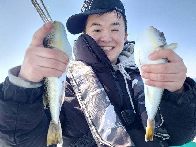 ショウサイフグ