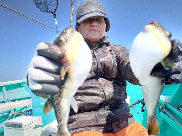 ショウサイフグ