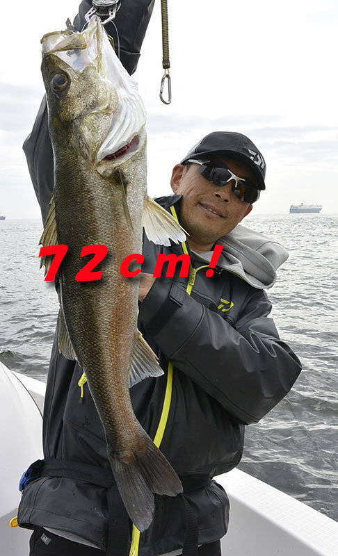 シーバス(スズキ)