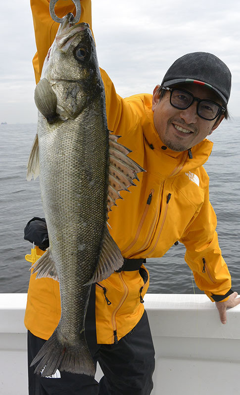 シーバス(スズキ)