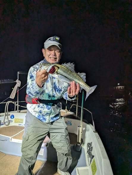 シーバス(スズキ)