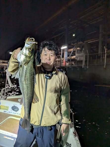 シーバス(スズキ)