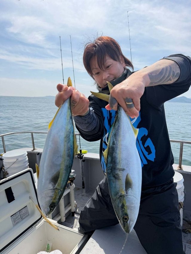 ハマチ(ブリ)