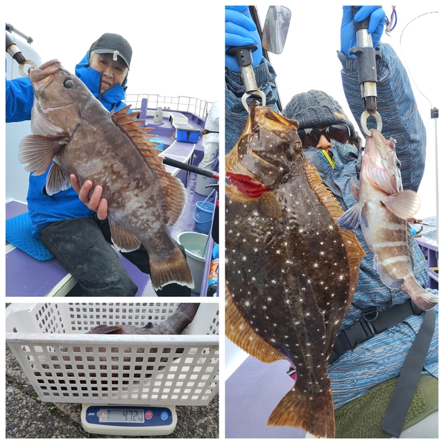 マハタ・ヒラメ