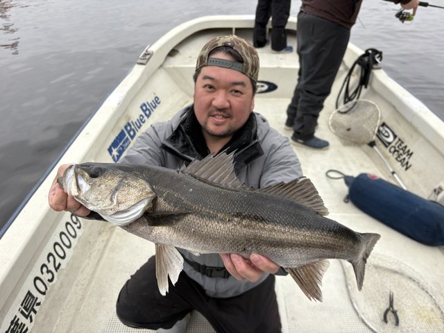 シーバス(スズキ)