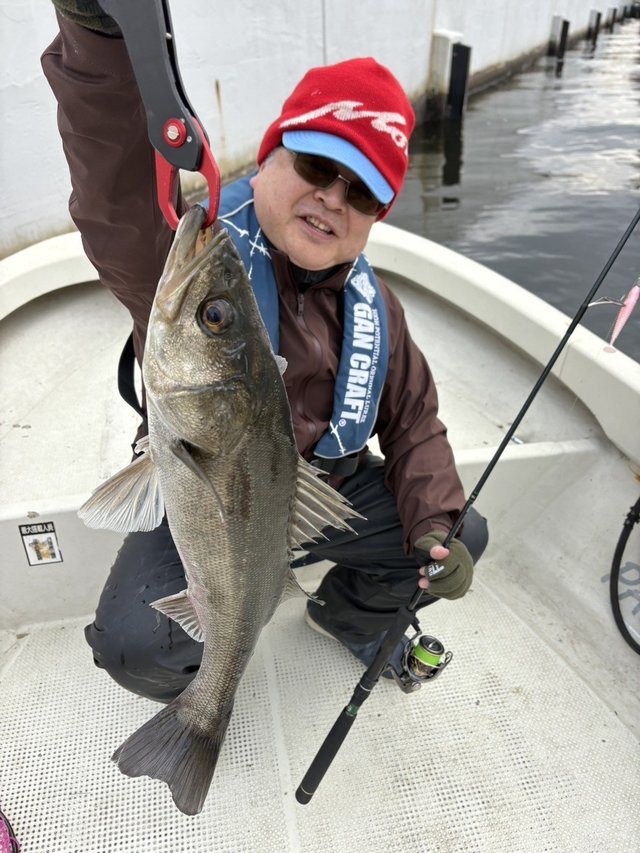 シーバス(スズキ)