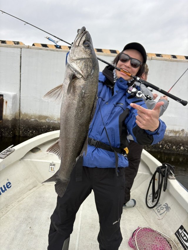 シーバス(スズキ)