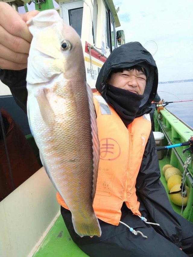 アマダイ(アカアマダイ)