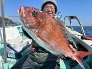 ハナダイ(チダイ)