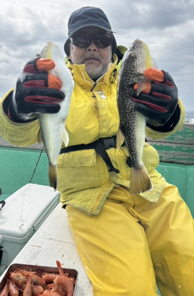 ショウサイフグ