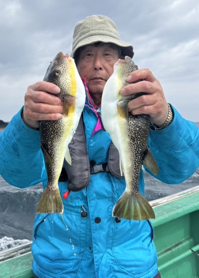 ショウサイフグ